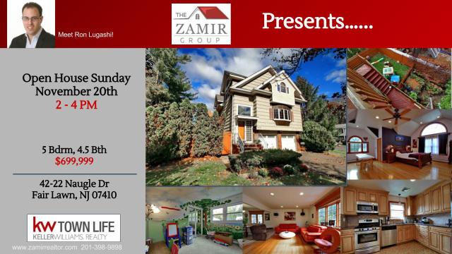 Naugle Fair Lawn In Law Suite Radburn Home for Sale The Zamir Group